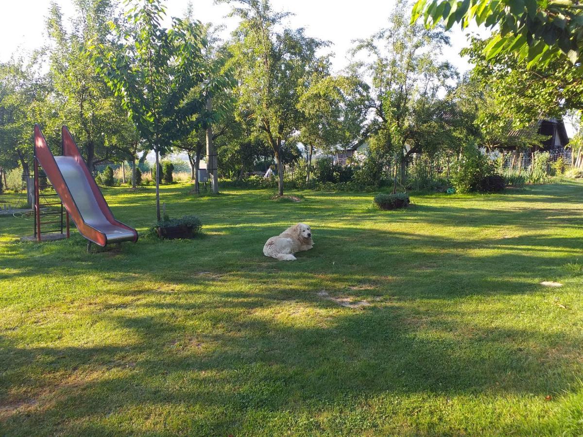 קוטינה Camping Lukac מראה חיצוני תמונה
